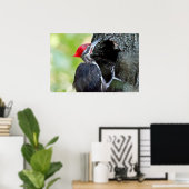 木のポスター上の雄の幼稚園のキツツキ ポスター (ホームオフィス)