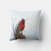 木のポストに坐っている赤い北の(鳥)ショウジョウコウカンチョウ クッション (裏面)