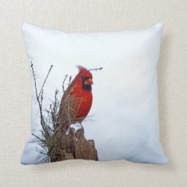 木のポストに坐っている赤い北の（鳥）ショウジョウコウカンチョウ クッション