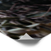 木のマーゲイ（フェリス・ウィエディ） ポスター (角)