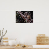 木のマーゲイ（フェリス・ウィエディ） ポスター (キッチン)