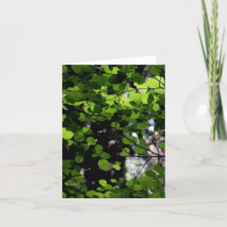 木のメッセージカードでの上 カード