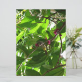 木のランチタイム (スタンド正面)