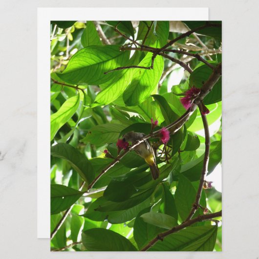 木のランチタイム (正面/裏面)