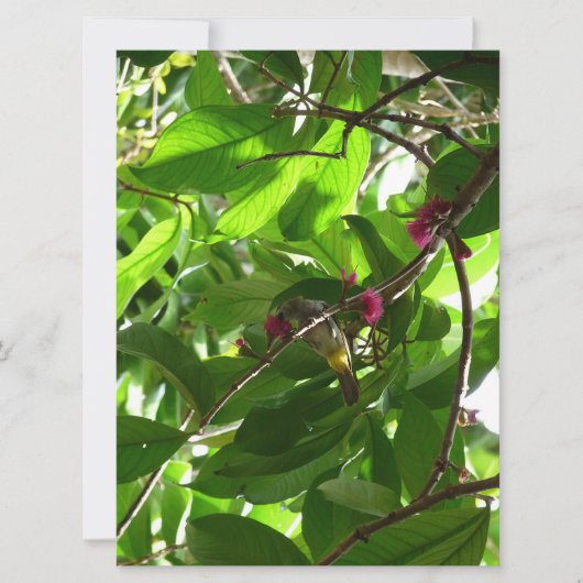 木のランチタイム (正面)