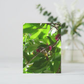 木のランチタイム ポストカード (スタンド正面)