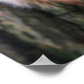 木のリスのポスター ポスター (角)