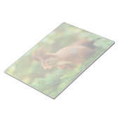 木のリス ノートパッド (アングル)