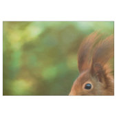 木のリス ファブリック (ファットクウォーター)