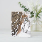 木のリス ポストカード (スタンド正面)