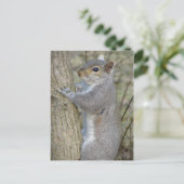 木のリス ポストカード (スタンド正面)