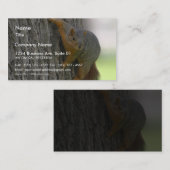 木のリス 名刺 (正面/裏面)