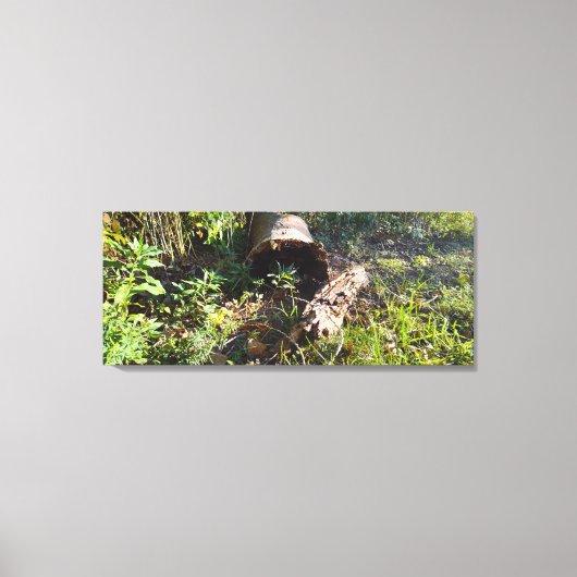 木のログ忘れ キャンバスプリント (正面)