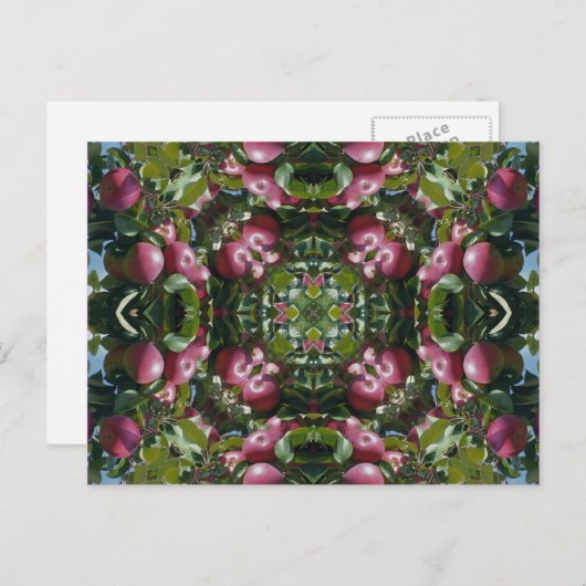 木の万華鏡のように千変万化するパターンの芸術Postcarの赤いりんご ポストカード (正面/裏面)
