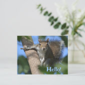 木の上であなたを眺めるかわいいリス フォトジェニック ポストカード (スタンド正面)