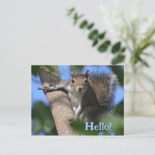木の上であなたを眺めるかわいいリス　フォトジェニック ポストカード (スタンド正面)
