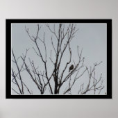木の上でひとりぼっちの鳥 ポスター (正面)