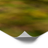 木の上で休んでいるゴリラ ポスター (角)