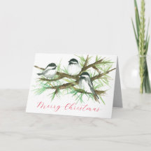 木の上で楽しい《鳥》アメリカゴガラの鳥