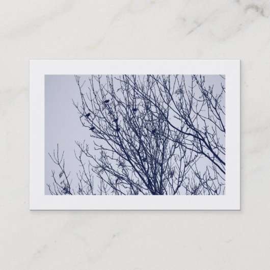 木の上で縁どの飢え 名刺 (正面)