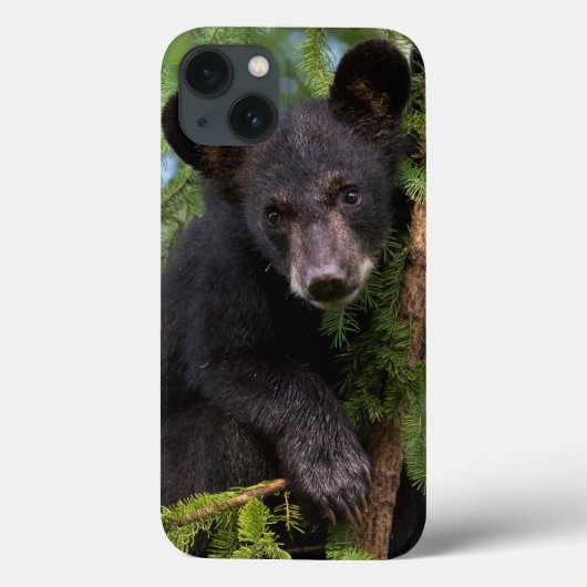 木の上で遊ぶクロクマの子熊 Case-Mate iPhoneケース (裏面)