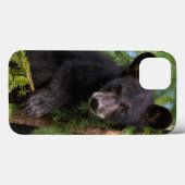 木の上で遊ぶクロクマの子熊 Case-Mate iPhoneケース (裏面 (横))
