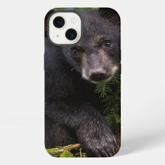 木の上で遊ぶクロクマの子熊 iPhoneケース (裏面)