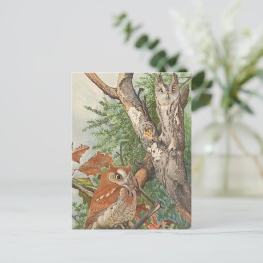 木の上にいる2羽の怒った古いフクロウ ポストカード (スタンド正面)