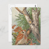 木の上にいる2羽の怒った古いフクロウ ポストカード (正面/裏面)