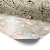 木の上にかわいい赤いリス フォトプリント            (角)