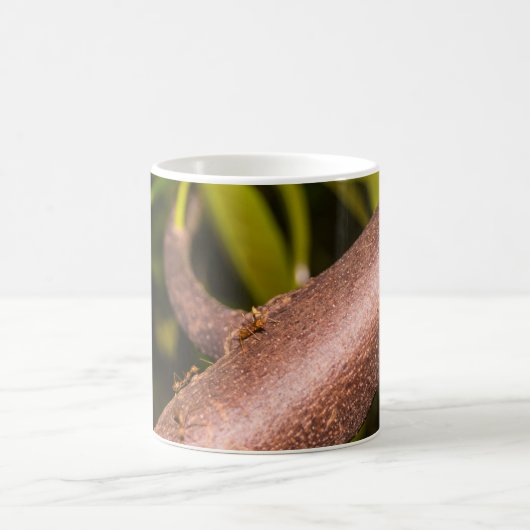 木の上にアリ織機 コーヒーマグカップ (中央)