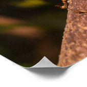 木の上にアリ織機 ポスター (角)