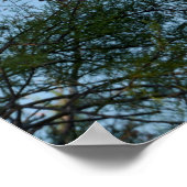 木の上に到着する灰色のアオサギ ポスター (角)