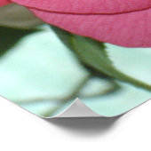 木の上に熱いピンクの椿が生えていた。 ポスター (角)