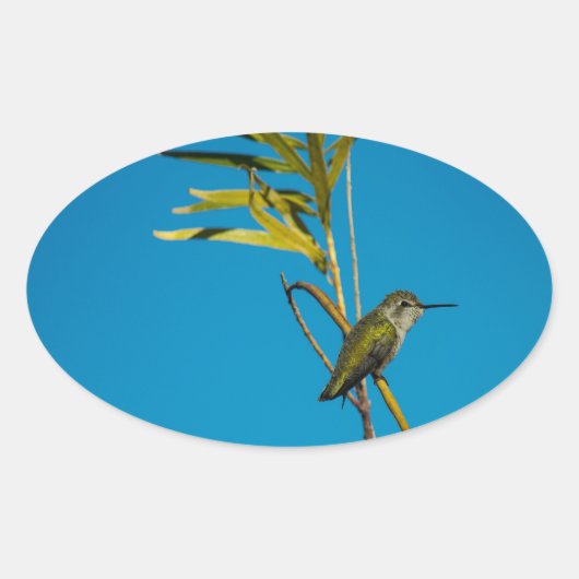 木の上に生えた雌のルビーの喉のハチドリ 楕円形シール (正面)