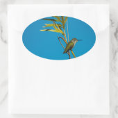 木の上に生えた雌のルビーの喉のハチドリ 楕円形シール (バッグ)