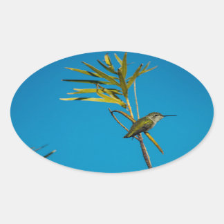 木の上に生えた雌のルビーの喉のハチドリ 楕円形シール