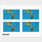 木の上に生えた雌のルビーの喉のハチドリ 長方形シール (シート)