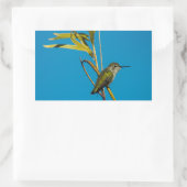 木の上に生えた雌のルビーの喉のハチドリ 長方形シール (バッグ)