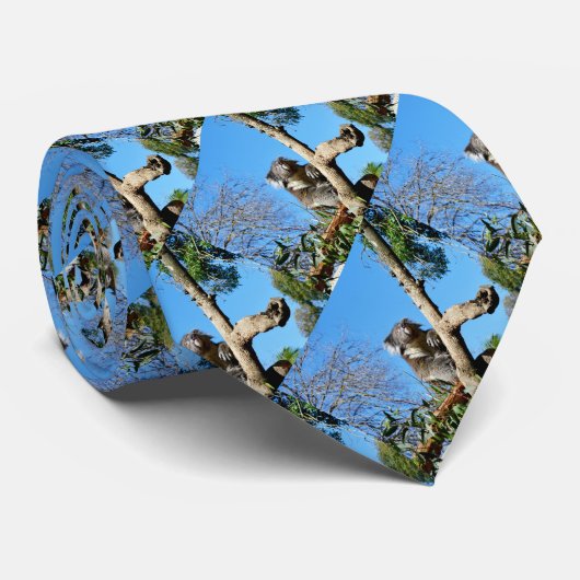 木の上に考え深いコアラがいた。 ネクタイ (ロール)