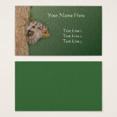 木の上に茶色のフクロウの蝶自然 (正面&裏面)