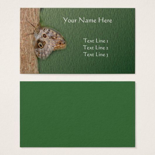 木の上に茶色のフクロウの蝶自然 (正面&裏面)