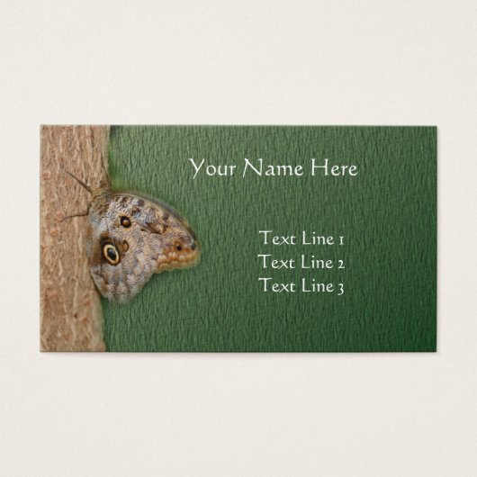 木の上に茶色のフクロウの蝶自然 (正面)