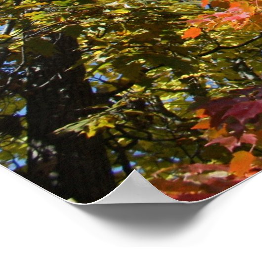 木の上に ポスター (角)