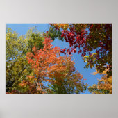 木の上に ポスター (正面)