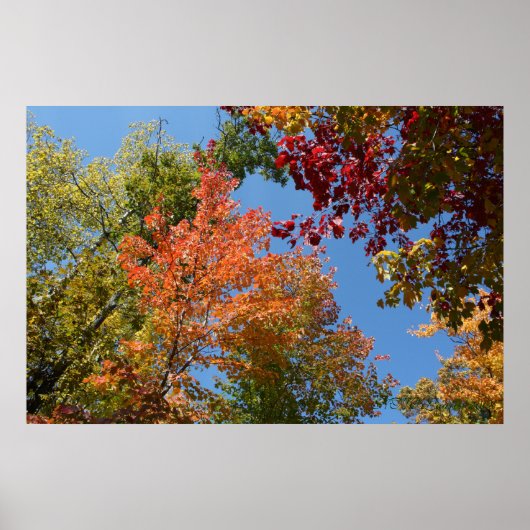 木の上に ポスター (正面)