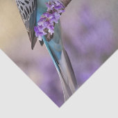 木の上のおしゃべり：ジャカランダの木の青いブダギー。 薄葉紙 (詳細)