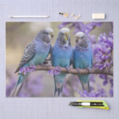 木の上のおしゃべり：ジャカランダの木の青いブダギー。 薄葉紙 (クラフト)