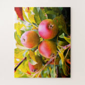 木の上のりんご ジグソーパズル (縦)