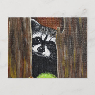 木の上のアライグマの絵 ポストカード